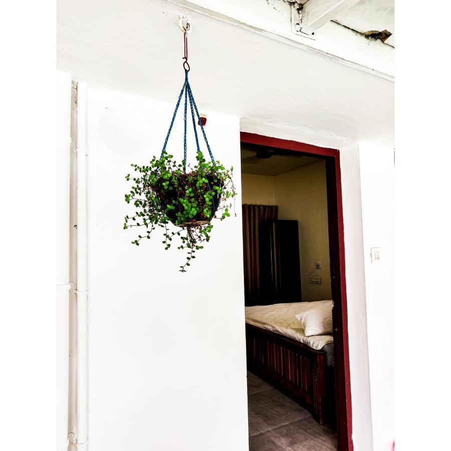 Nature Villa Kochi Alwaye Екстер'єр фото